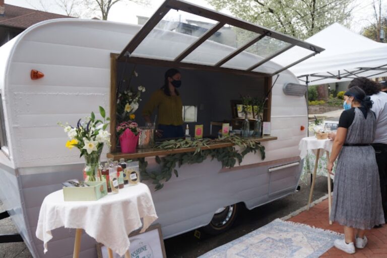 elevated maple2 768x512