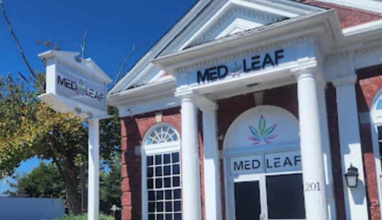 med leaf egg harbor1 768x442