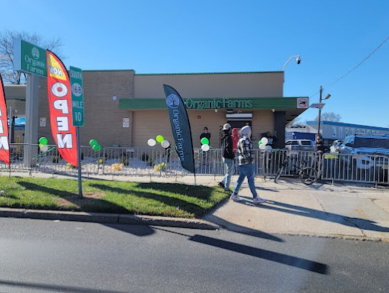 organic farms camden1 768x579