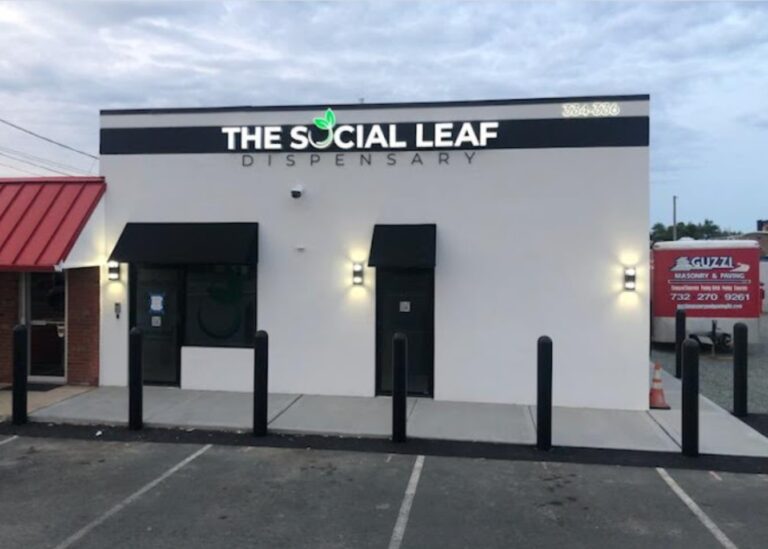social leaf toms river1 768x549