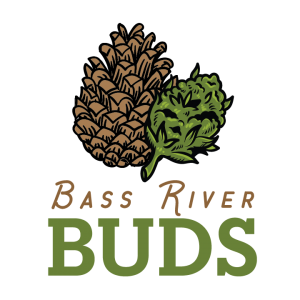 BassRiverBuds VERT Logo 01 300x300 1